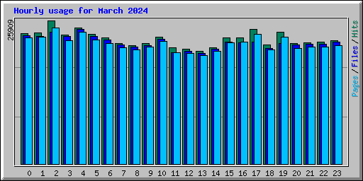 Hourly usage for March 2024