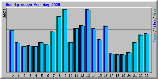 Hourly usage for May 2025